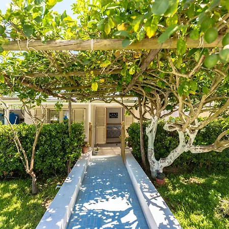 Lemon Tree House Tatil Evi *