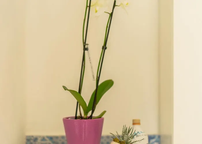 Lemon Tree House * Procida