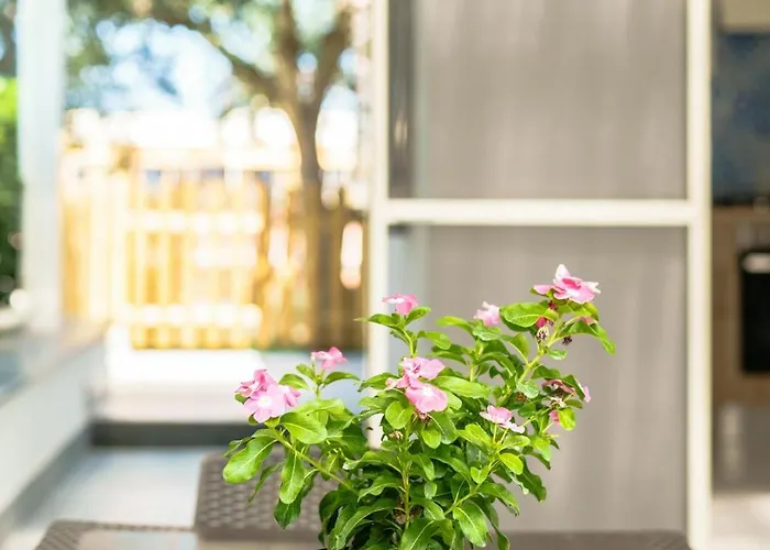 Lemon Tree House Сasa de vacaciones Procida