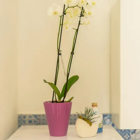 Lemon Tree House * Procida