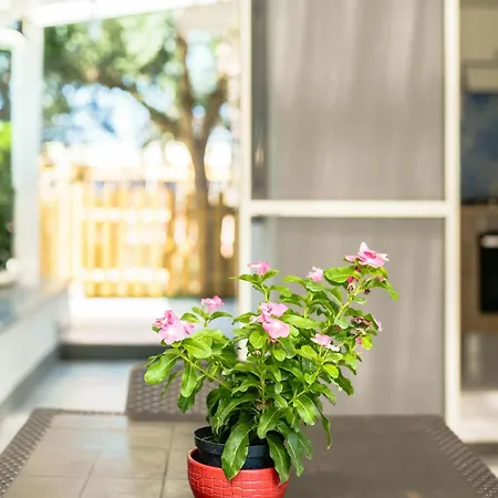 Lemon Tree House בית נופש פרוסידה