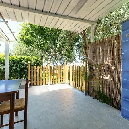 Lemon Tree House